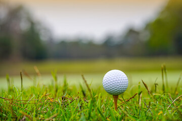 Golf ball on tee in beautiful golf course at sunset background.