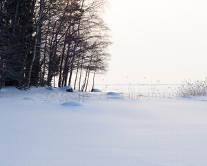 Winter landscape with trees and snow