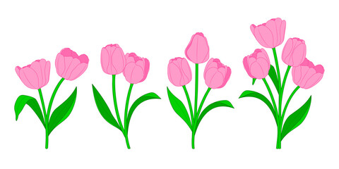 Branches of pink tulips and green leaves. Spring bouquet. Floral vector illustration.