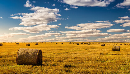 Fototapeta na wymiar Scene with haystacks on an agricultural field in autumn sunny day. Rural landscape with cloudy sky background.
