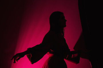 Dark silhouette of a beautiful slender girl in a dress in a pink mystical light in a magic castle