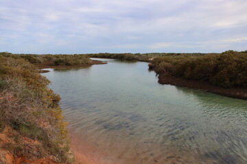 Little Lagoon creek near the town of Denham in Western Australia.