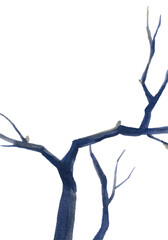 A tree branch. A blue, gnarled branch, without leaves