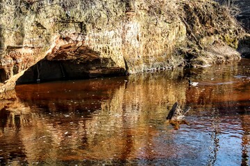 reflection in the water