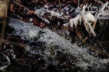 icicles on a roof