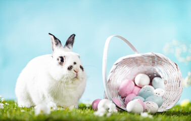 Easter bunny and painted eggs on grass