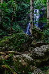 Fototapeta na wymiar 飛騨高山　夏の県立自然公園　宇津江四十八滝