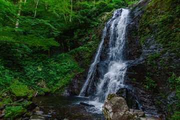 飛騨高山　夏の県立自然公園　宇津江四十八滝
