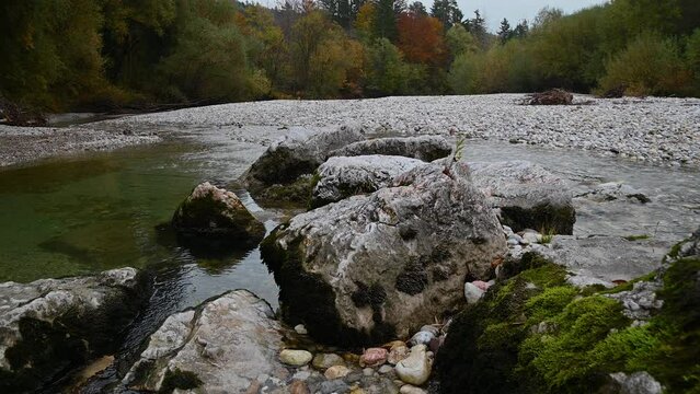 Huge rocks in the foreground with stream flowing downstream in pristine nature. River bank is covered with colorful trees. Autumn or fall season in Slovenia. Static shot, real time