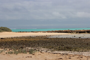 Beach overlooking the Ningaloo Reef in the Cape Range National Park near the town of Exmouth in Western Australia..