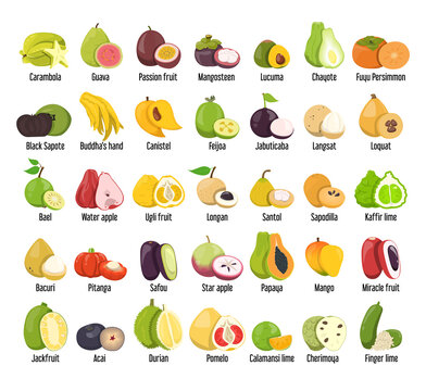 Set of tropical fruits vector isolated. Collection of exotic berries and fruits. Mango, papaya, passion fruit and feijoa. Sweet colorful food.