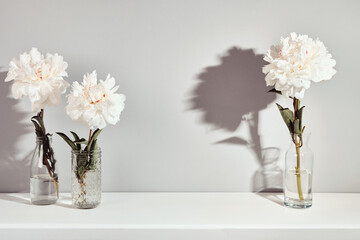 Elegant white peonies flowers arrangement on table wall background, trendy shadows