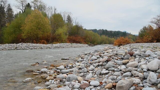 Small stream flowing downstream in pristine nature. River bank is covered with colorful trees. Autumn or fall season. Rocky shore. Static shot, real time, low angle