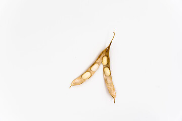 Dried beans isolated on white background. bean pods