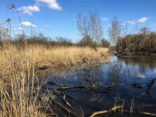 Auenlandschaft