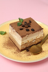 Concept of tasty dessert with Tiramisu cake, close up