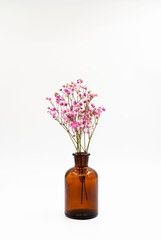 Dry flowers in an old pharmacy jar, now used as a vase on a white background.