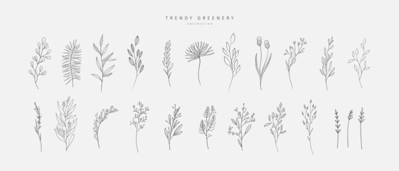 Floral branch and minimalist flowers for logo or tattoo. Hand drawn line wedding herb, elegant leaves for invitation save the date card. Botanical rustic trendy greenery