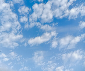 Obraz premium Light Blue Sunny Sky With Clouds Background Wallpaper