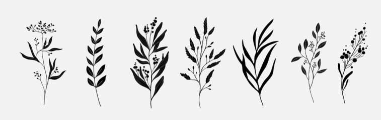 Minimal feminine botanical floral branch in silhouette style. Hand drawn wedding herb, minimalistic flowers with elegant leaves. Botanical rustic trendy greenery vector