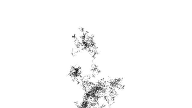 The artistic and elegant abstract shape develops like a smoke drawn with pencil and stops.