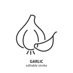 Garlic line icon. Garlic clove vector symbol. Editable stroke.