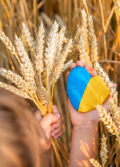 Child in a wheat field. In vyshyvanka, the concept of the Independence Day of Ukraine. Selective...