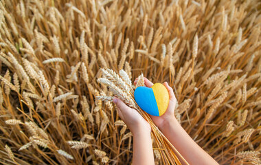 Child in a wheat field. In vyshyvanka, the concept of the Independence Day of Ukraine. Selective...
