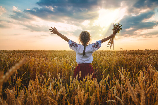 Child in a wheat field. In vyshyvanka, the concept of the Independence Day of Ukraine. Selective focus.