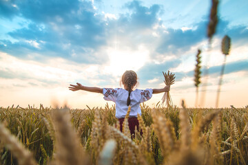 Child in a wheat field. In vyshyvanka, the concept of the Independence Day of Ukraine. Selective focus.