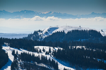 Herzogenhorn mit Alpenpanorama im Südschwarzwald