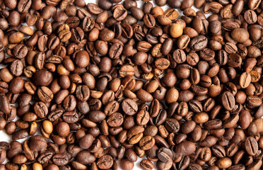Fototapeta premium Texture with coffee beans. Coffee pattern. Beautiful background with coffee beans.