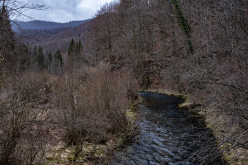 mountain river in central Croatia, early spring
