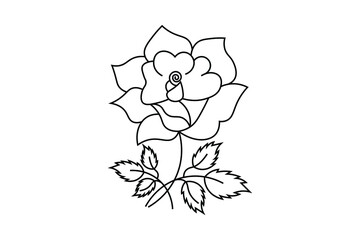flower outline, natural floral branch elements, vector line illustration, continues line drawing, ornaments