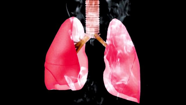 Stop smoking visual effects and animation. H.264 Adobe Stock UHD without Audio (40 Mbps) created with 3D Maya and Adobe After Effects