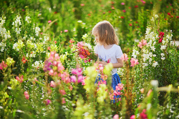 Girl picking beautiful antirrhinum flowers on farm. Outdoor summer activities for little kids.