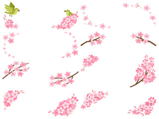 桜の花と枝の飾りフレームセット