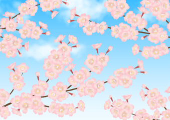 Fototapeta na wymiar 桜の花と青空の春らしいベクター素材