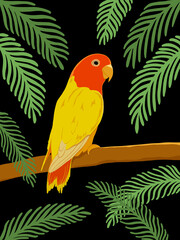 Colorful bird against a dark background with green palm leaves

