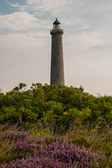 lighthouse on the coast