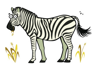 Cute cartoon carefree zebra chewing dry grass straw © Anderu