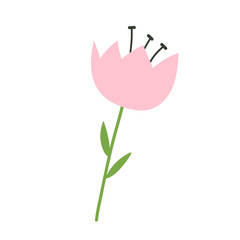 Blooming vector spring time flower hand drawn in vector and isolated on white background.