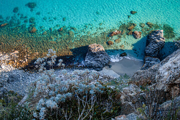 coral reef in the ocean