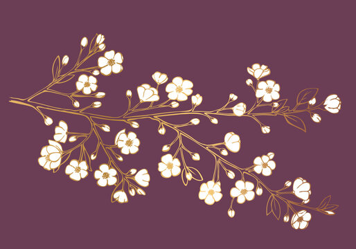 Luxury golden beautiful cherry branch with white flowers. Vector Illustration