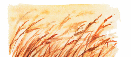 Watercolor golden wheat field.