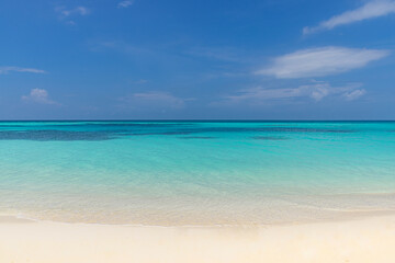 Sea sand sky beach closeup. Panoramic landscape. Inspire tropical beach coast seascape horizon. Horizon waves surf shore calmness tranquil relaxing sunlight summer mood. Vacation travel holiday banner