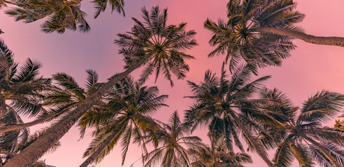 Poster de jardin Corail Palmiers avec ciel coucher de soleil coloré. Modèle de nature tropicale exotique, paysage à faible point de vue. Île paisible et inspirante pittoresque, silhouette de cocotiers sur la plage au coucher ou au lever du soleil