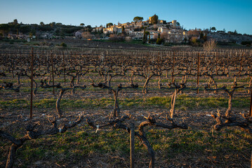 the provencal village of Joucas in the luberon national park  with vineyard in the forground in late winter , provence ,vaucluse ,France . - obrazy, fototapety, plakaty