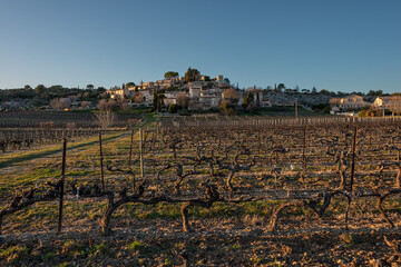 the provencal village of Joucas in the luberon national park  with vineyard in the forground in late winter , provence ,vaucluse ,France . - obrazy, fototapety, plakaty