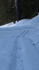 Fototapeta na wymiar track in the snow